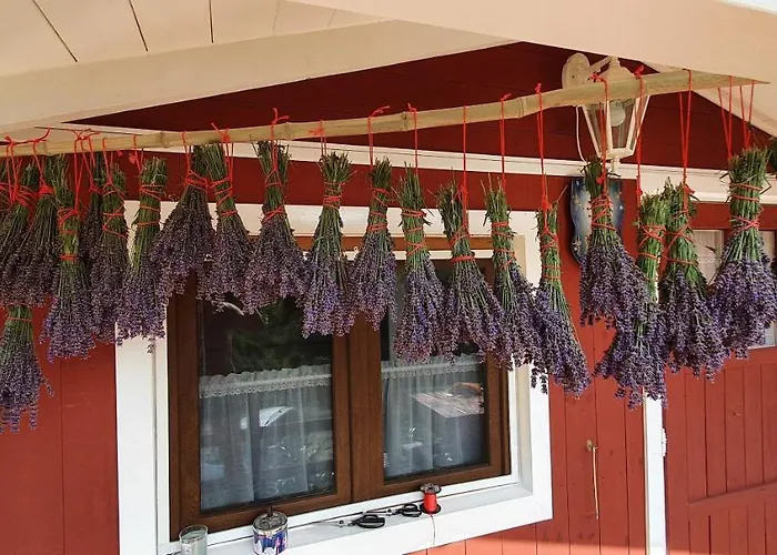 Kis Levendulas Vendeghaz