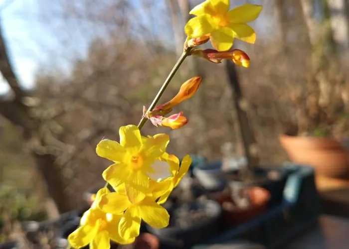Kis Levendulas Vendeghaz Appartement Zalaegerszeg